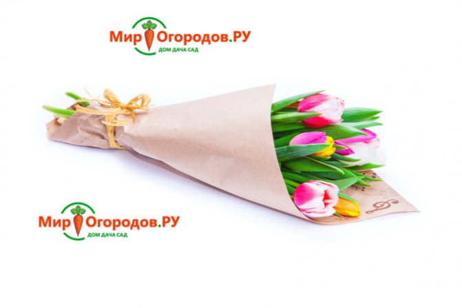 Цветная бумага для декора