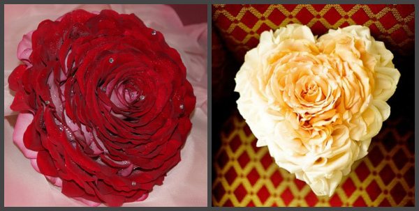 Фото 7